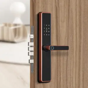 Smart WiFi-Zigbee Biometric Digital Door Lock