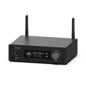 Arylic H50 WiFi Bluetooth 50Wx2 Stereo Amplifier with Alexa