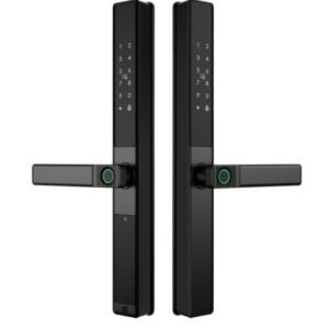 TTLock Bluetooth Double-Side Smart Lock- Fingerprint- Password - Card